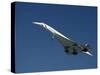 Concorde in Flight-Ian Griffiths-Stretched Canvas