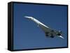 Concorde in Flight-Ian Griffiths-Framed Stretched Canvas