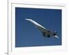 Concorde in Flight-Ian Griffiths-Framed Photographic Print