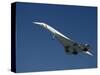 Concorde in Flight-Ian Griffiths-Stretched Canvas