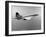 Concorde in Service-null-Framed Photographic Print