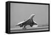 Concorde on First Takeoff from New York-null-Framed Stretched Canvas