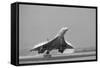 Concorde on First Takeoff from New York-null-Framed Stretched Canvas