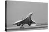 Concorde on First Takeoff from New York-null-Stretched Canvas