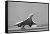 Concorde on First Takeoff from New York-null-Framed Stretched Canvas