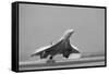 Concorde on First Takeoff from New York-null-Framed Stretched Canvas