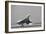 Concorde on First Takeoff from New York-null-Framed Photographic Print