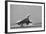 Concorde on First Takeoff from New York-null-Framed Photographic Print