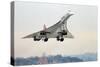 Concorde Supersonic Airliner Landing at Airport-null-Stretched Canvas