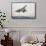 Concorde Supersonic Airliner Landing at Airport-null-Framed Stretched Canvas displayed on a wall