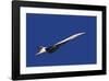 Concorde-Mark Wagner-Framed Premium Giclee Print