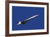 Concorde-Mark Wagner-Framed Premium Giclee Print