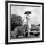 Concours d'elegance-null-Framed Photo