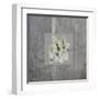Concrete Basil-Albert Koetsier-Framed Art Print