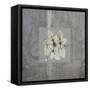 Concrete Basil-Albert Koetsier-Framed Stretched Canvas
