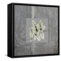 Concrete Basil-Albert Koetsier-Framed Stretched Canvas