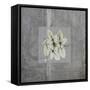 Concrete Basil-Albert Koetsier-Framed Stretched Canvas