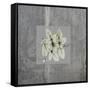 Concrete Basil-Albert Koetsier-Framed Stretched Canvas