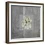 Concrete Basil-Albert Koetsier-Framed Art Print