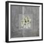 Concrete Basil-Albert Koetsier-Framed Art Print