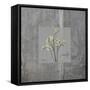 Concrete Parsley-Albert Koetsier-Framed Stretched Canvas