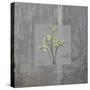 Concrete Parsley-Albert Koetsier-Stretched Canvas