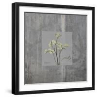 Concrete Parsley-Albert Koetsier-Framed Art Print