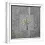 Concrete Parsley-Albert Koetsier-Framed Art Print