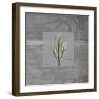 Concrete Rosemary-Albert Koetsier-Framed Art Print