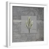 Concrete Rosemary-Albert Koetsier-Framed Art Print