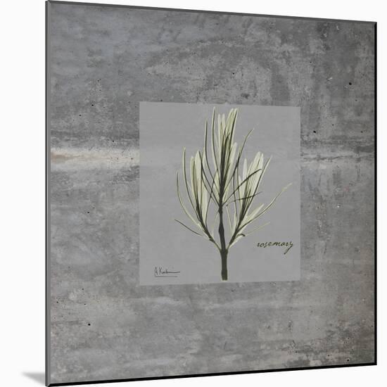 Concrete Rosemary-Albert Koetsier-Mounted Art Print