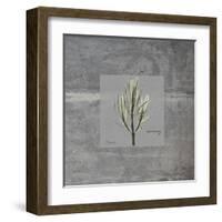 Concrete Rosemary-Albert Koetsier-Framed Art Print