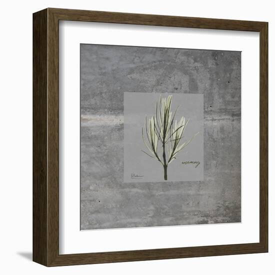 Concrete Rosemary-Albert Koetsier-Framed Art Print