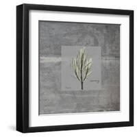 Concrete Rosemary-Albert Koetsier-Framed Art Print