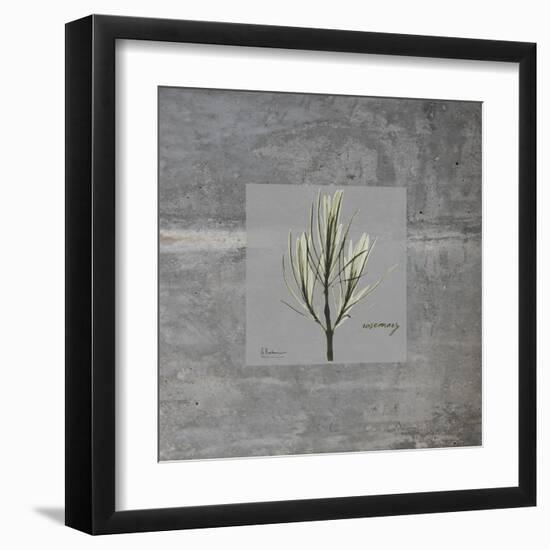 Concrete Rosemary-Albert Koetsier-Framed Art Print