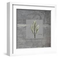 Concrete Rosemary-Albert Koetsier-Framed Art Print