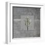 Concrete Rosemary-Albert Koetsier-Framed Art Print