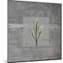 Concrete Rosemary-Albert Koetsier-Mounted Art Print