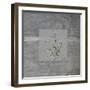 Concrete Thyme-Albert Koetsier-Framed Art Print