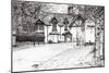 Condemned building Prestbury, 2009-Vincent Alexander Booth-Mounted Giclee Print