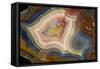 Condor Agate with Fortifcations-Darrell Gulin-Framed Stretched Canvas