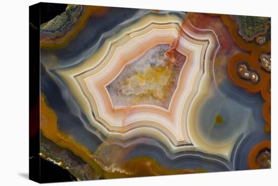 Condor Agate with Fortifcations-Darrell Gulin-Stretched Canvas