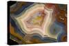 Condor Agate with Fortifcations-Darrell Gulin-Stretched Canvas