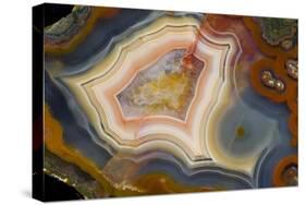 Condor Agate with Fortifcations-Darrell Gulin-Stretched Canvas