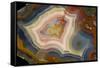 Condor Agate with Fortifcations-Darrell Gulin-Framed Stretched Canvas