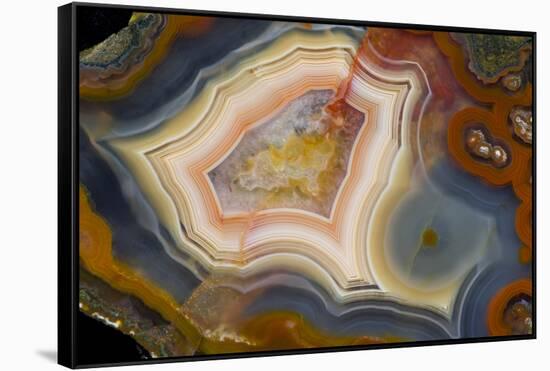 Condor Agate with Fortifcations-Darrell Gulin-Framed Stretched Canvas