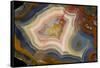 Condor Agate with Fortifcations-Darrell Gulin-Framed Stretched Canvas