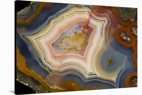 Condor Agate with Fortifcations-Darrell Gulin-Stretched Canvas