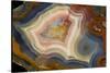 Condor Agate with Fortifcations-Darrell Gulin-Stretched Canvas