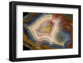 Condor Agate with Fortifcations-Darrell Gulin-Framed Premium Photographic Print